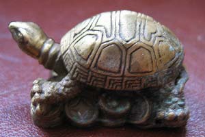 Черепаха в феншуй символ мудрости